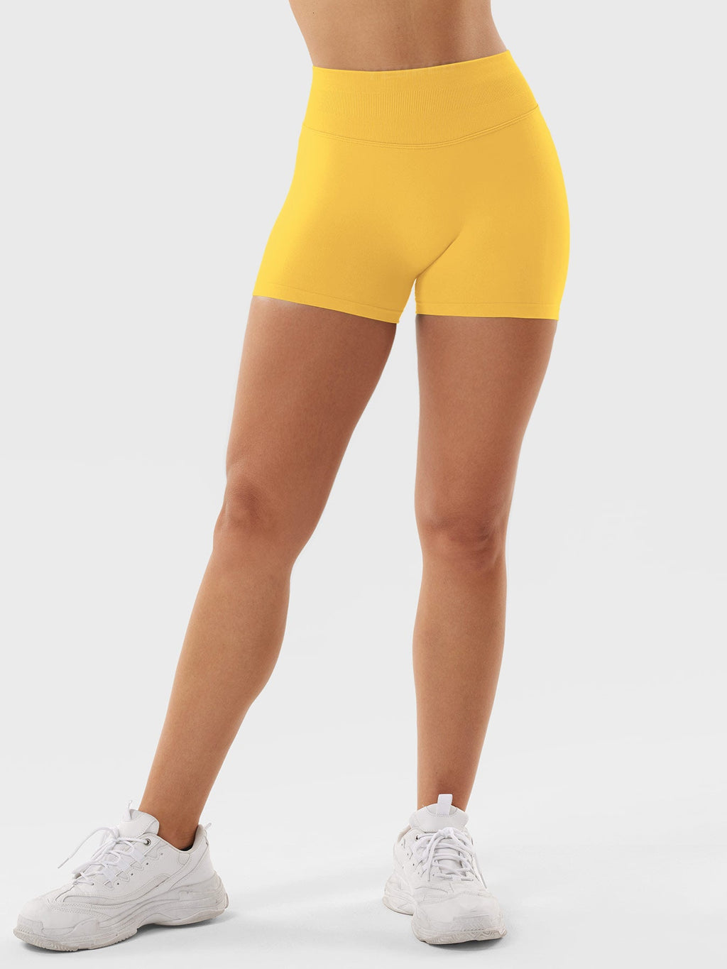 Short Eileen 2.5" Hidden Scrunch - AERLO